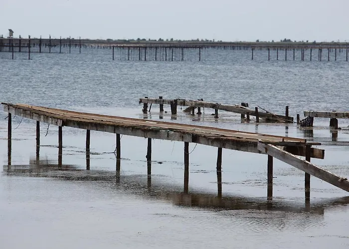 Proche Thermes, Climatise Et Animaux Admis - Fr-1-503-166 公寓 巴拉吕克莱班