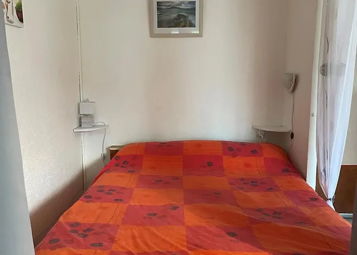 Proche Thermes, Climatise Et Animaux Admis - Fr-1-503-166 公寓 巴拉吕克莱班