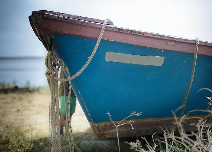 Proche Thermes, Climatise Et Animaux Admis - Fr-1-503-166 公寓 *