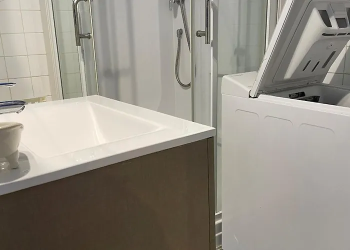 Proche Thermes, Climatise Et Animaux Admis - Fr-1-503-166