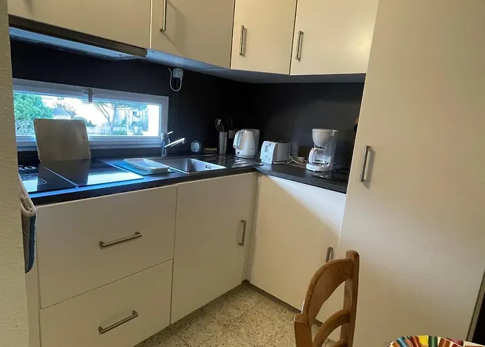 Apartament Proche Thermes, Climatise Et Animaux Admis - Fr-1-503-166 Balaruc-les-Bains